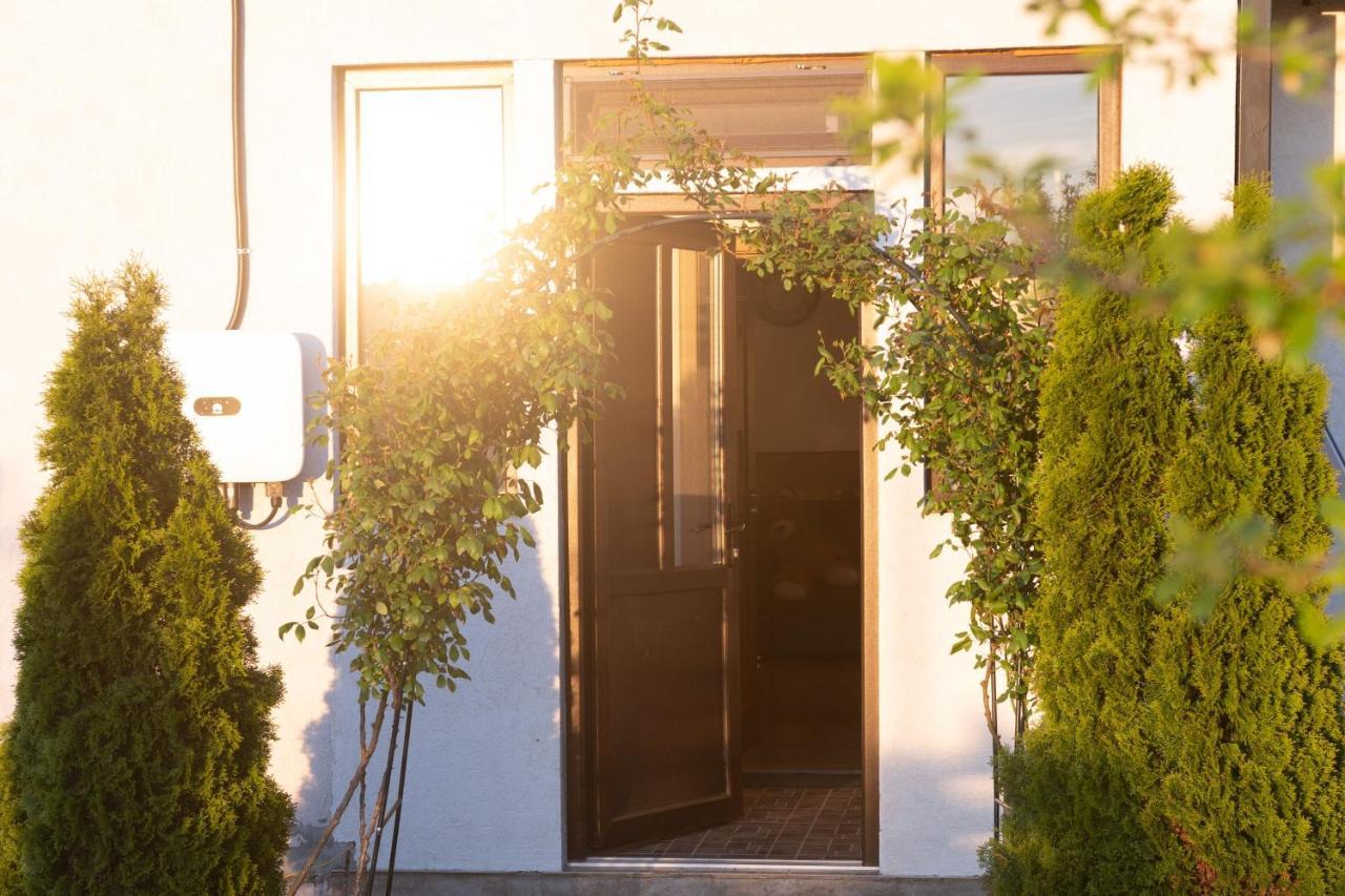 Casa Dumitrescu Năvodari Exterior foto